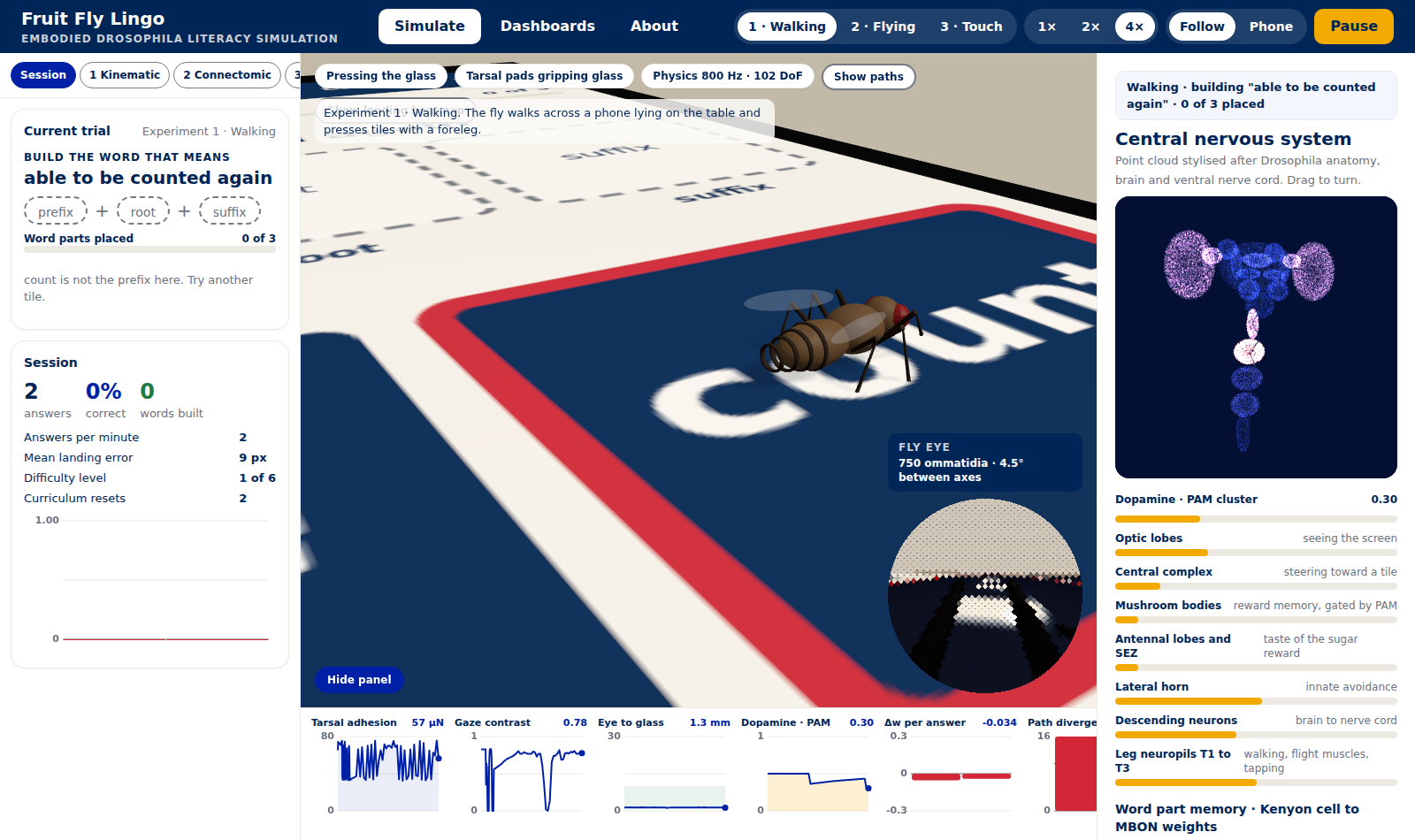The simulator: a fruit fly on a smartphone screen with the brain panel and docked dashboards