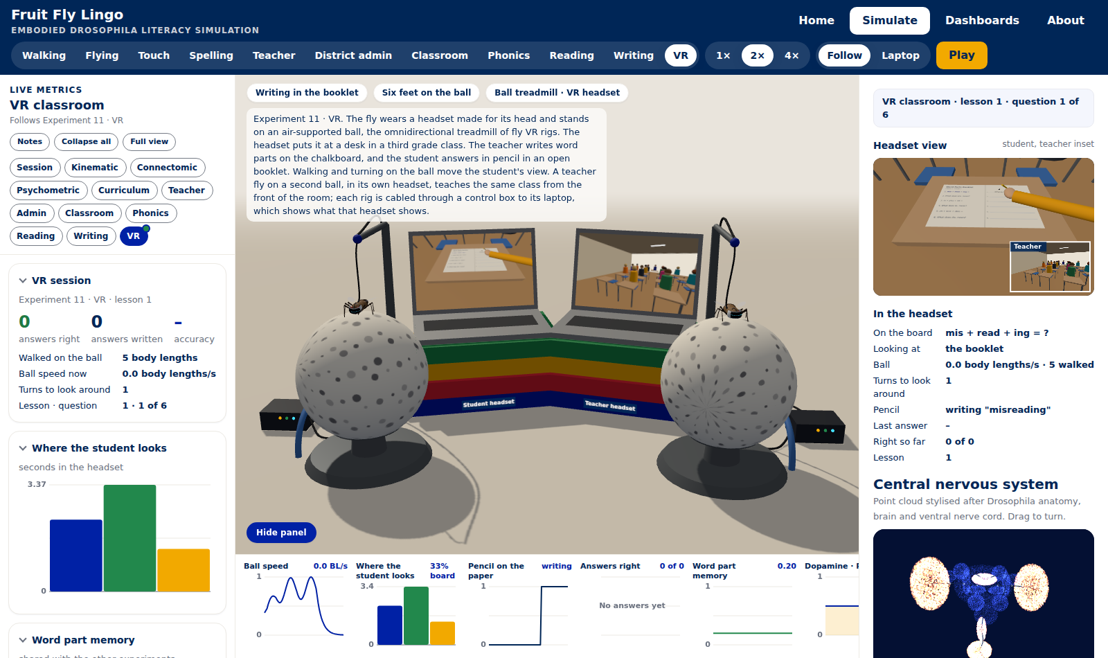 Experiment 11: the fly in a VR headset on an air-supported ball, a laptop beside it showing a classroom seen from a student's desk