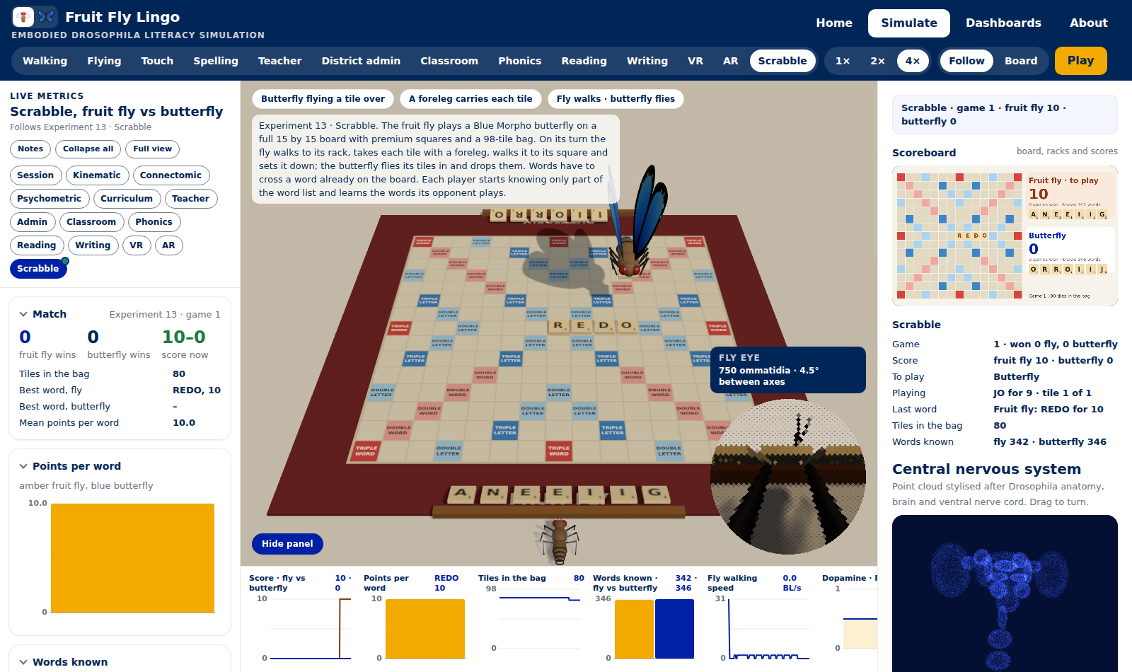 Experiment 13: a Scrabble board, the fruit fly at its rack and a Blue Morpho flying a tile over