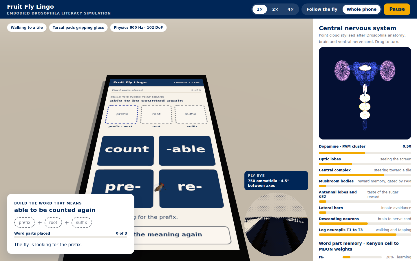 Whole-phone camera: the lesson screen with three slots and four tiles